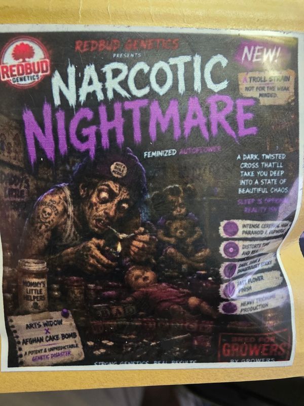 Redbud Genetics Narcotic Nightmare XXL Auto Fem