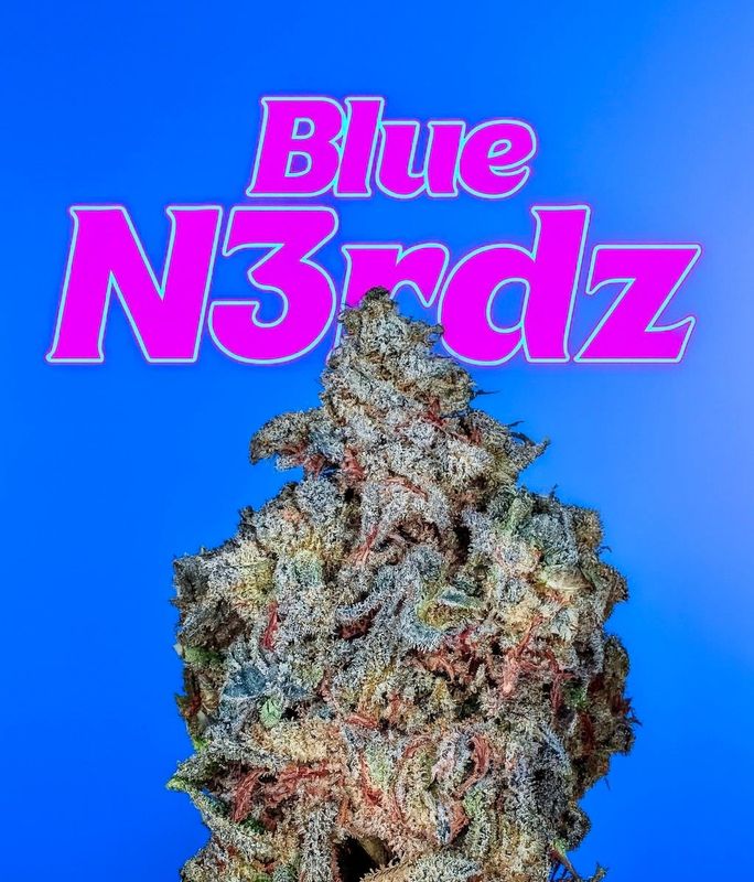 Copycat Genetix - Blue N3rdz S1 Feminized
