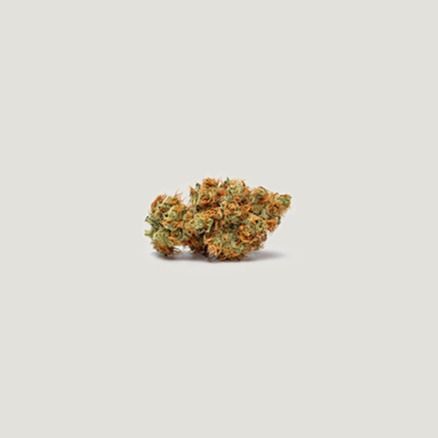 Purple City Genetics - Pomegranate Lime Auto (3+1 seeds)