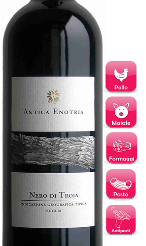 NERO DI TROIA I.G.T. 2009