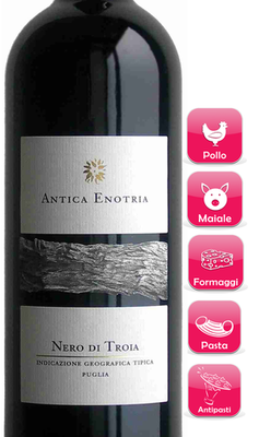 NERO DI TROIA I.G.T. 2009