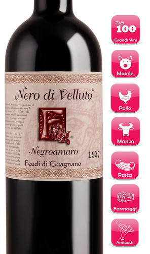 NERO DI VELLUTO I.G.T. 2008