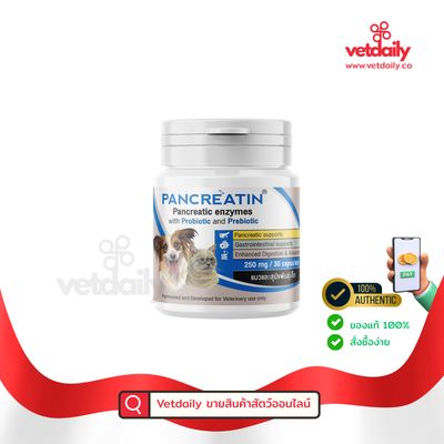 Pancreatin S/L แมวและสุนัขพันธุ์เล็ก 250mg(Bottle/30caps) Pancreatin S/L แมวและสุนัขพันธุ์เล็ก 250mg(Bottle/30caps)