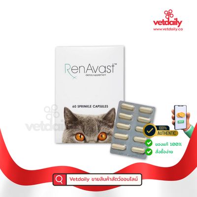 Renavast Cat (Box/60capsules) Renavast Cat (Box/60capsules)