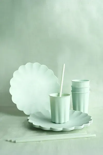 Plastic Plates Frill Sage 22x22cm