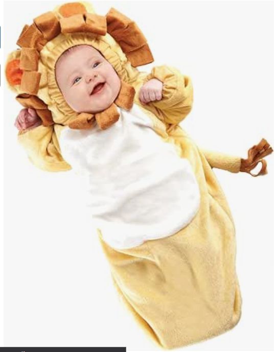 Lion Bunting