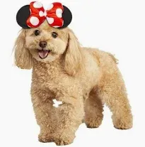 Minnie Mouse Pet Headpiece Size S/M