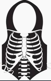 Skeleton Rib Cage Vest