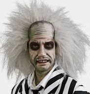 Beetlejuice Wig Adult