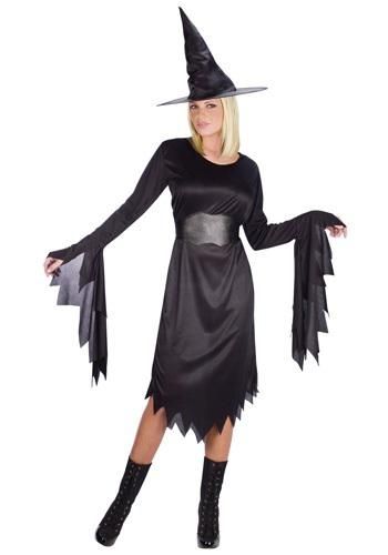 Witch Adult Halloween Costume One Size up to 14