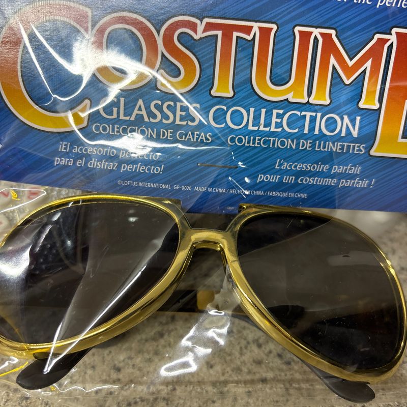 Rock Star Sunglasses Costume Accessory