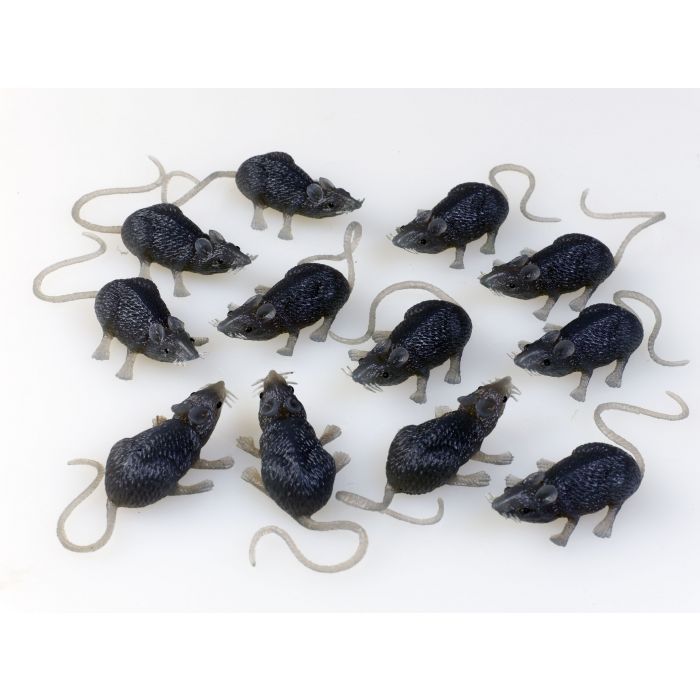 Bag of Mice 12 ct