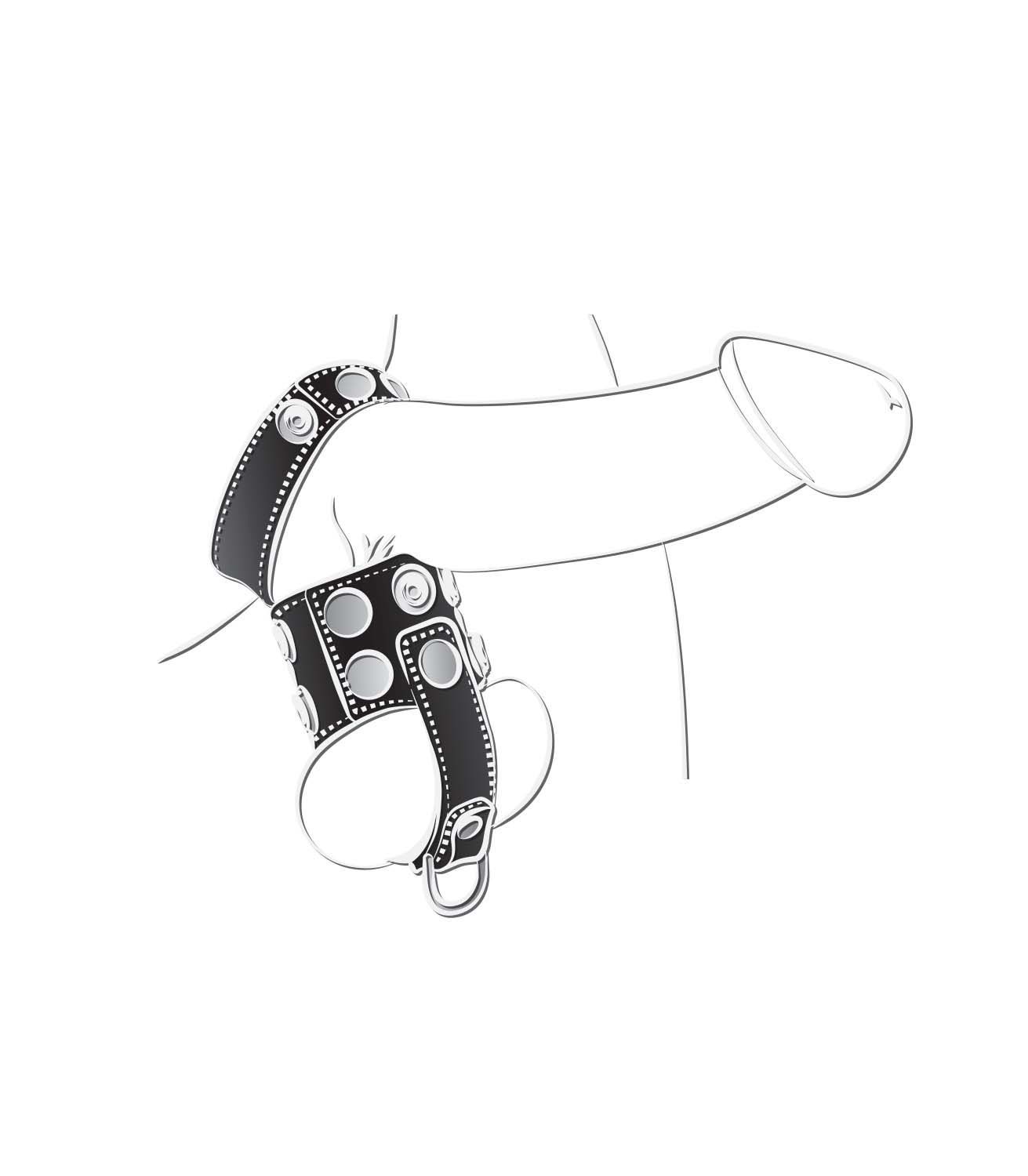 BALLGEAR BALL STRETCHER WITH SEPARATOR &amp; D-RING-BLACK - #3039