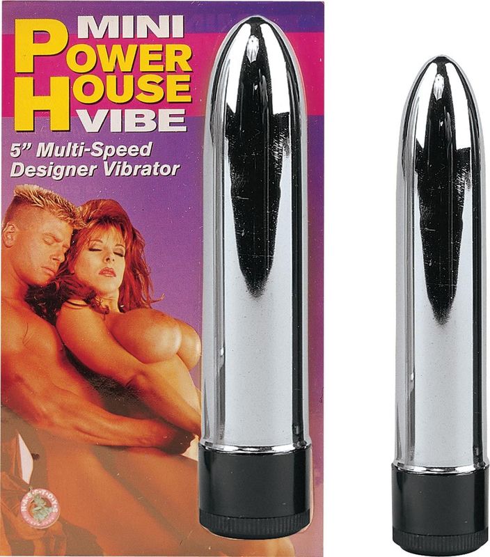 MINI POWERHOUSE VIBE-SILVER - #1164-2
