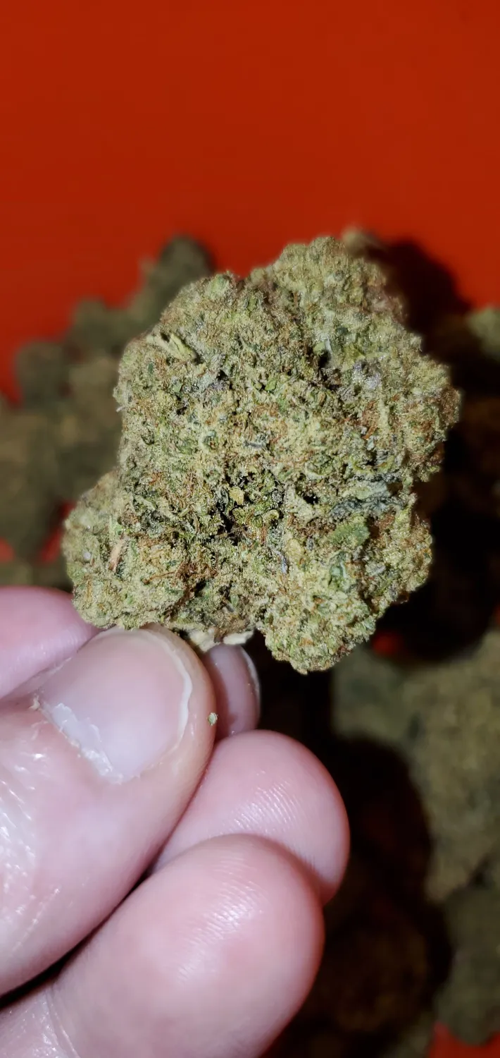 Gorilla Glue #4