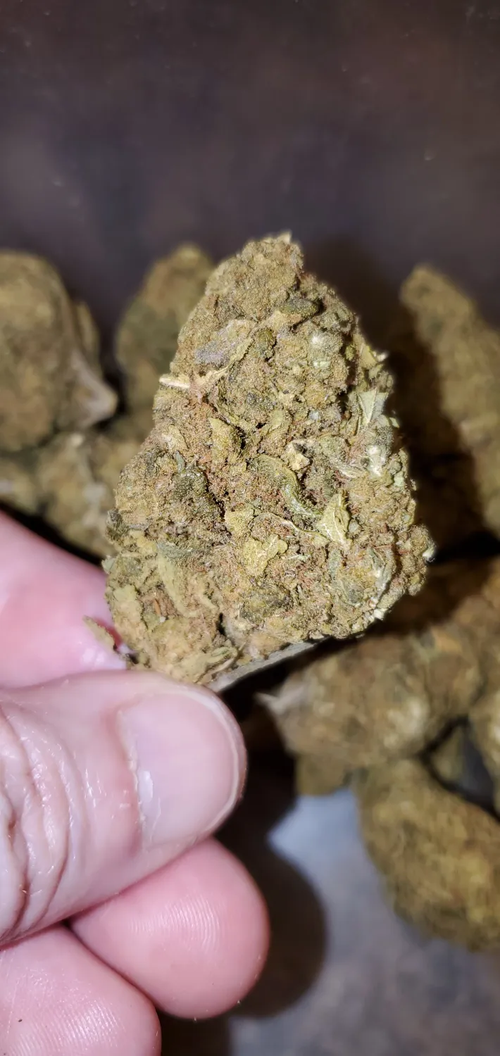 Sour Diesel