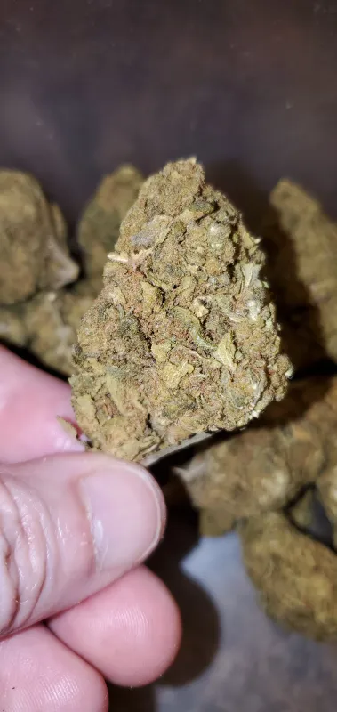 Sour Diesel