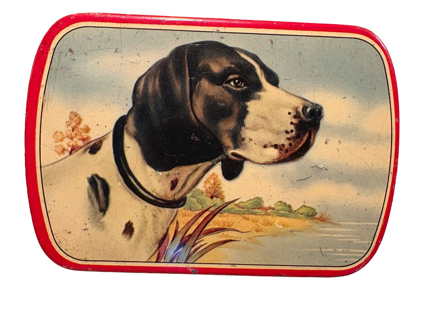 🐕 Vintage JOB Blikje Engelse Pointer 🌿