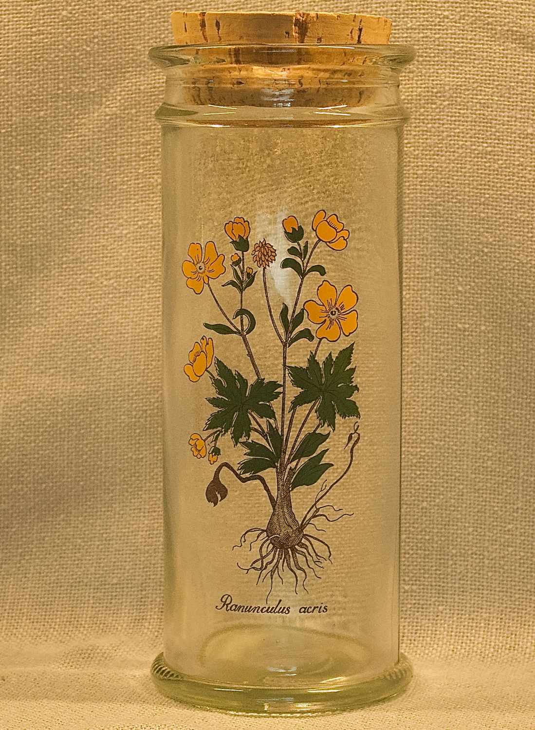 Vintage glazen pot met botanische illustratie van Ranunculus acris en kurken dop