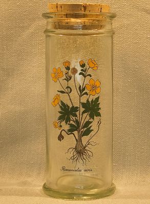 Vintage glazen pot met botanische illustratie van Ranunculus acris en kurken dop