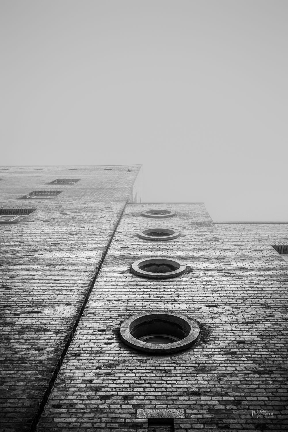 Disappearing Into the Mist
