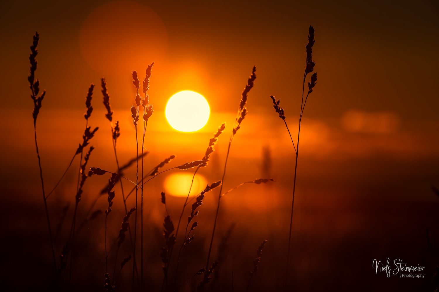 Golden Silence