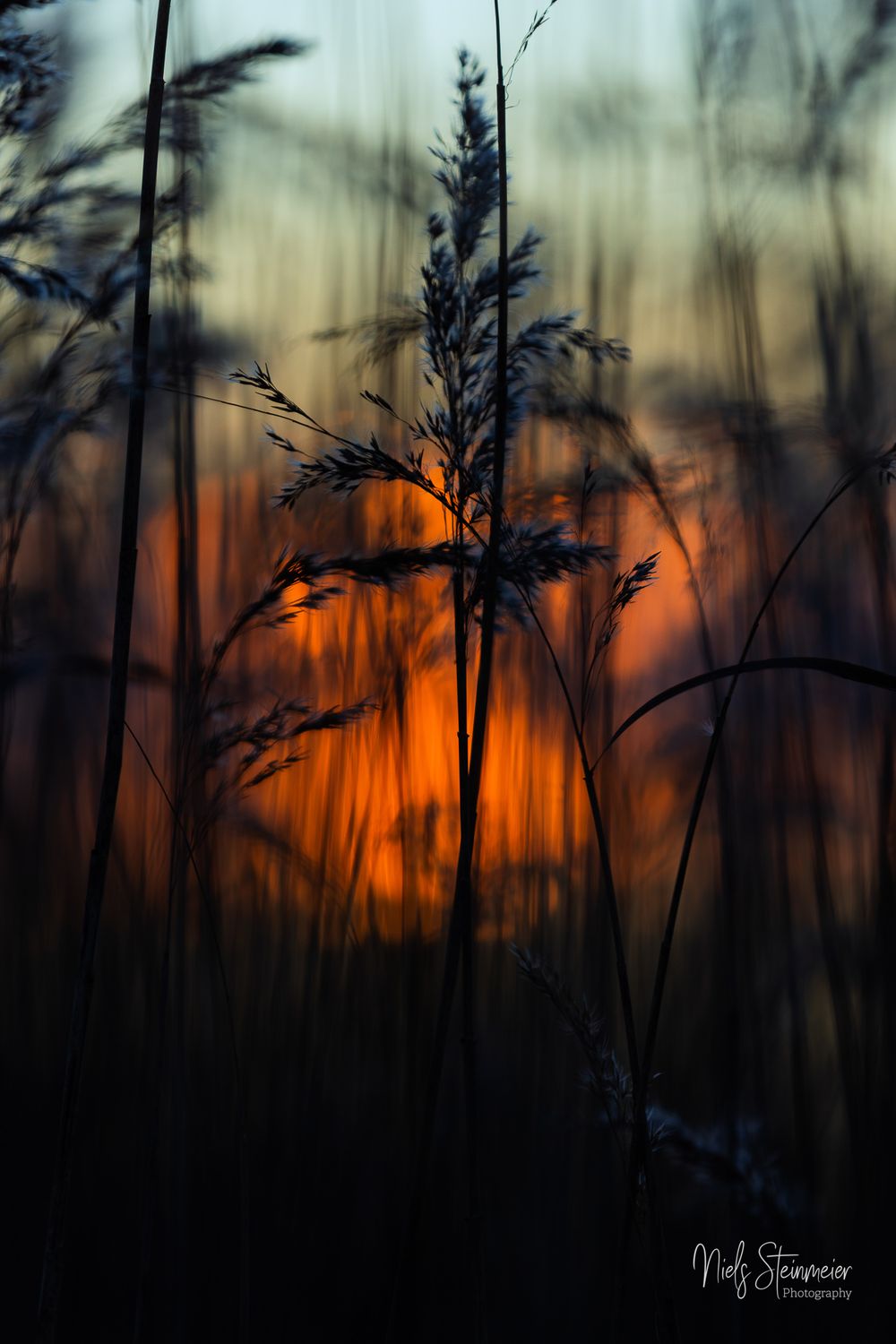 Whispering Sunset