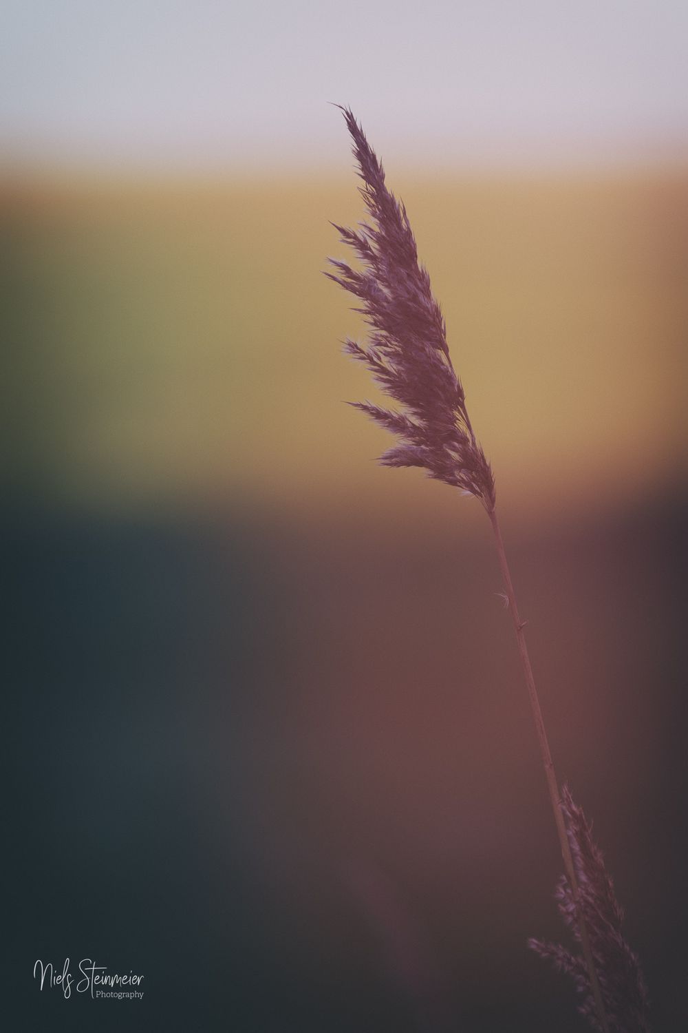 Soft Resistance