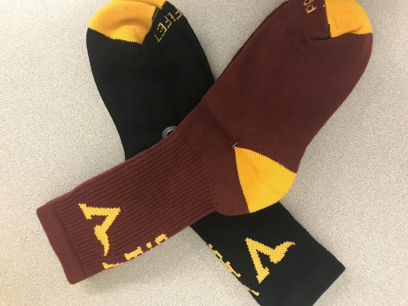 Pro-Feet Viking Socks