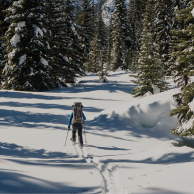 Touring Skis