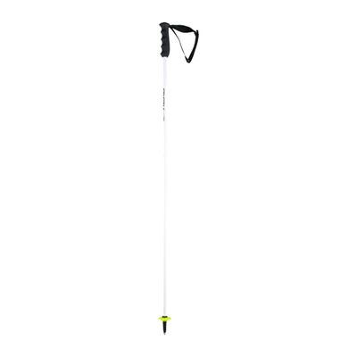 Head WC REBEL Carbon Racing Poles
