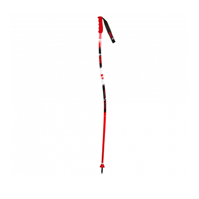 Vola GS TEAM Aluminium Poles