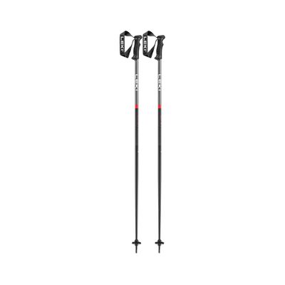 Leki QNTM Poles