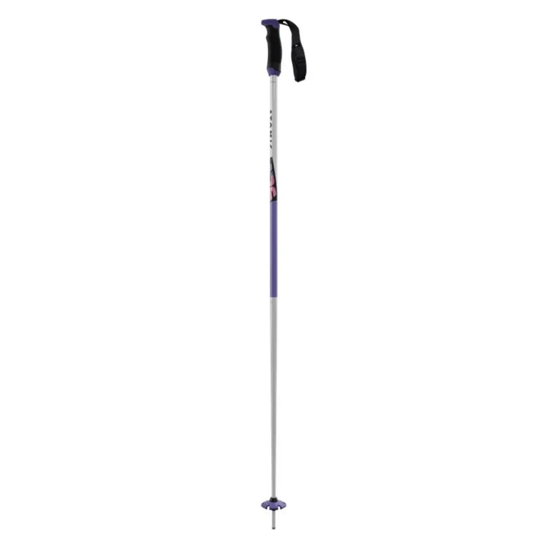 Atomic ARC Special Edition Ski Poles