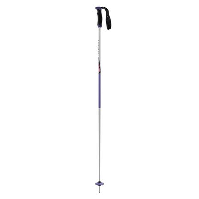 Atomic ARC Special Edition Ski Poles