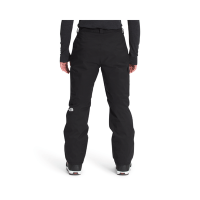 TNF FREEDOM INSULATED Men's Snowpant