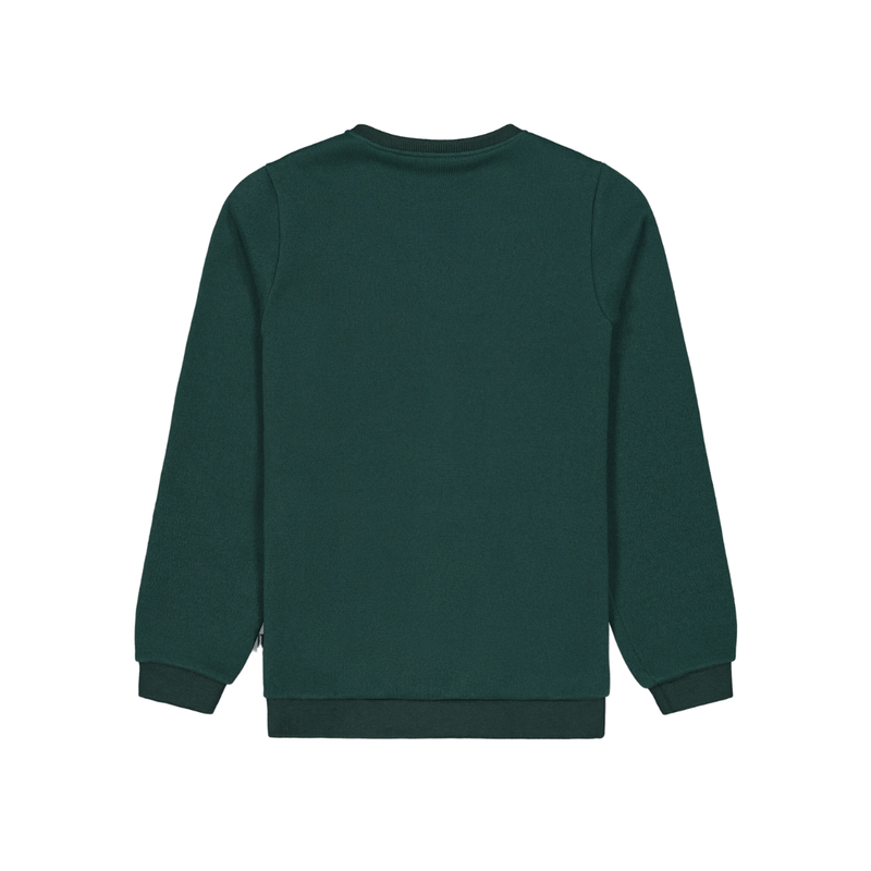 Picture TOFU Longsleeve Shirt