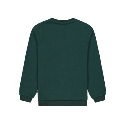 Picture TOFU Longsleeve Shirt