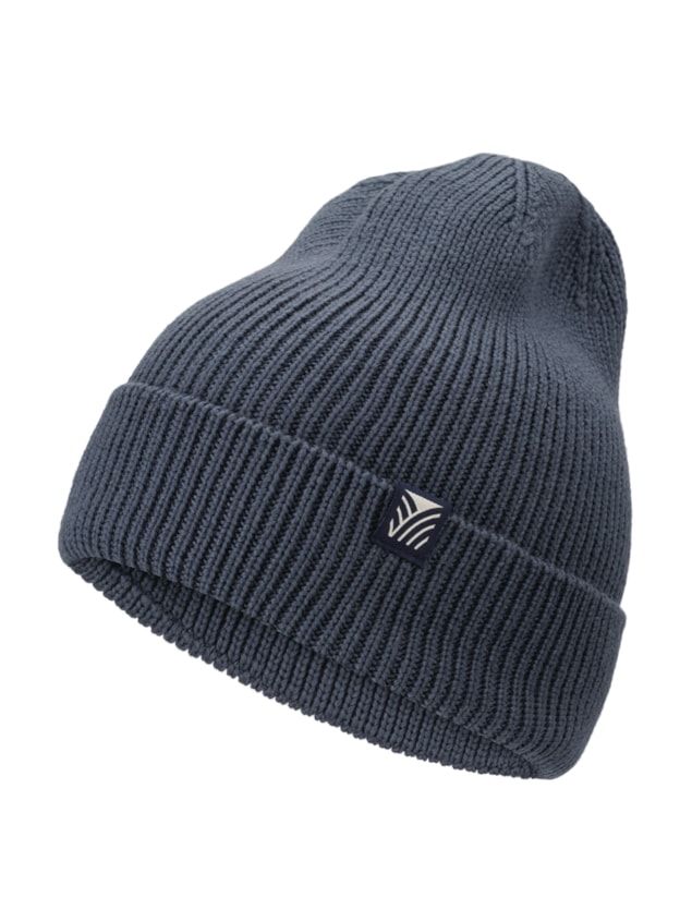 Dale of Norway BOUVET Beanie, Color: Acier