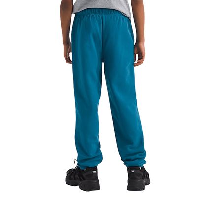 TNF TEEN EVOLUTION EMB Junior Jogging Pants