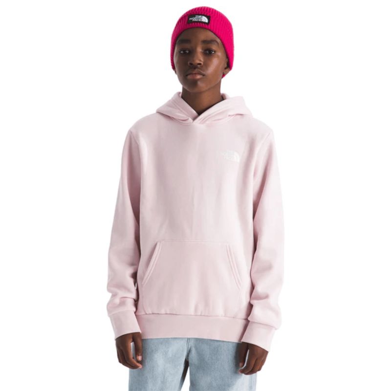 TNF TEEN EVOLUTION BOX Junior Hoodie TNF TEEN EVOLUTION BOX Junior Hoodie