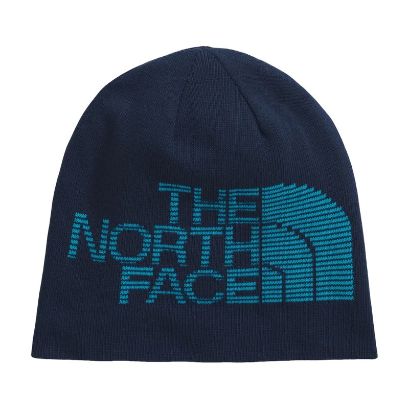 TNF HIGHLINE reversible adult beanie