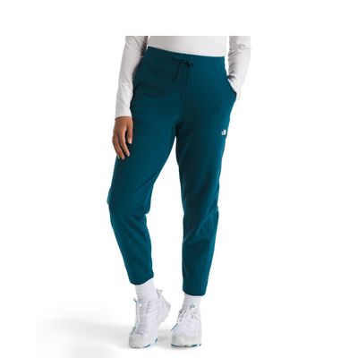 TNF GLACIER FLEECE Women's Jogging