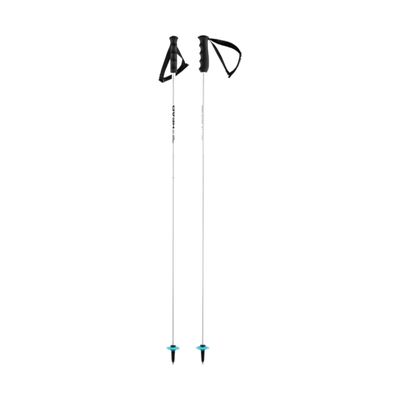 Head Worldcup Rebels Carbon Ski Poles