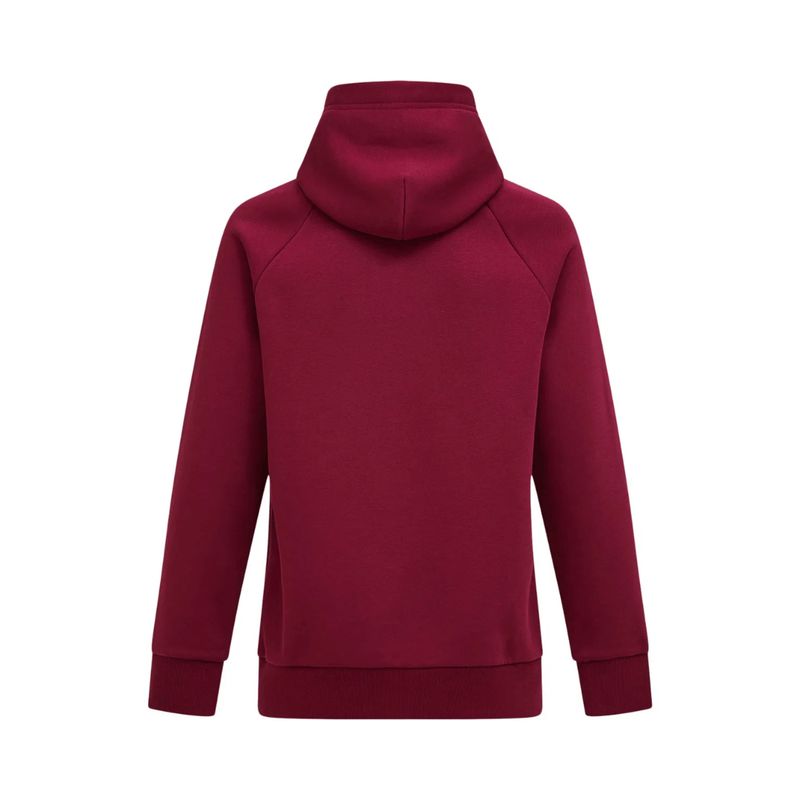 Peak ORIGINAL Men's Hoodie
