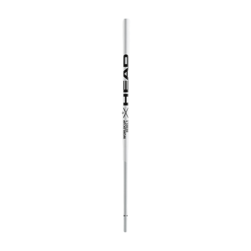 Head Worldcup Rebels Carbon Ski Poles