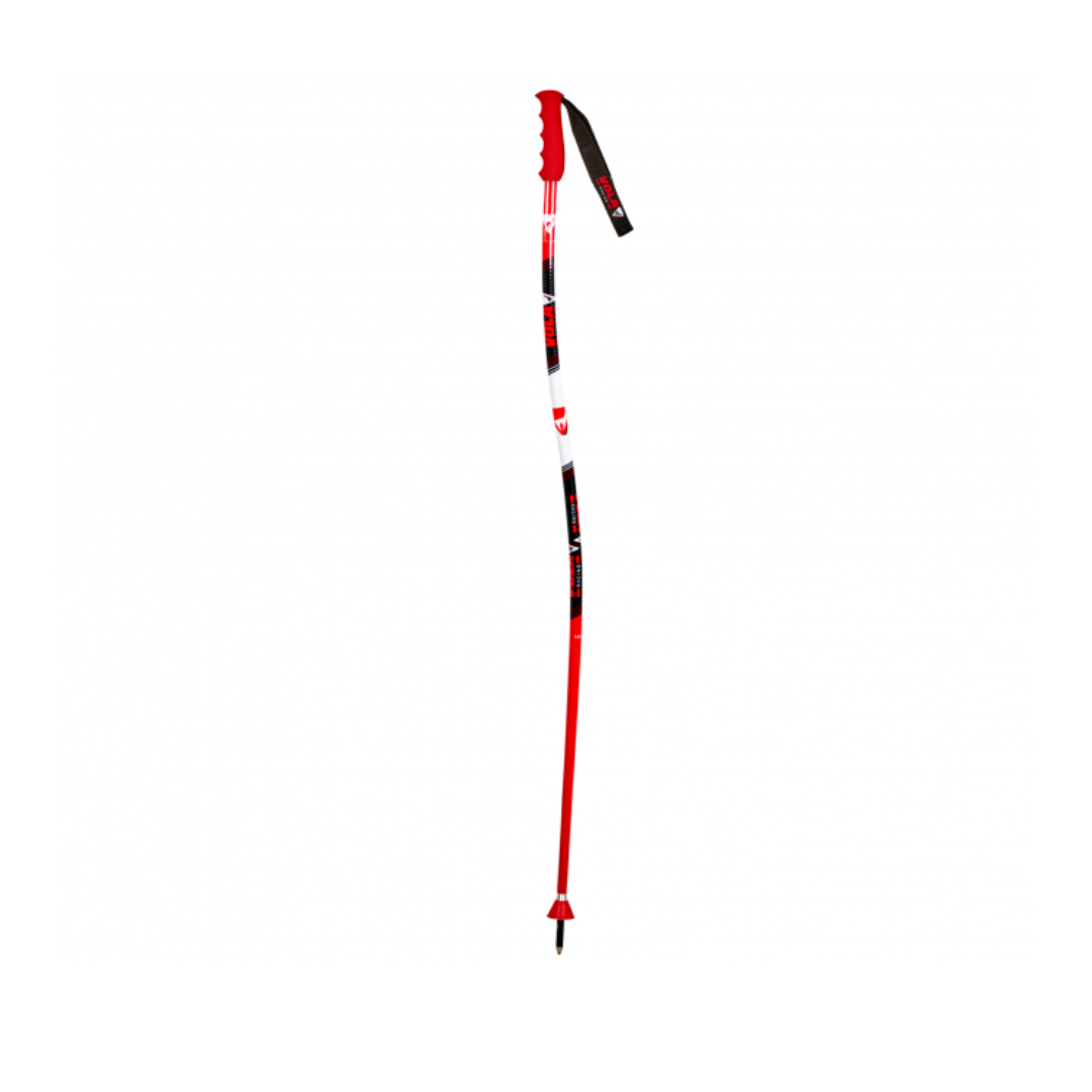 Vola GS TEAM Aluminium Poles