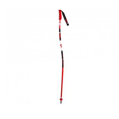 Vola GS TEAM Aluminium Poles