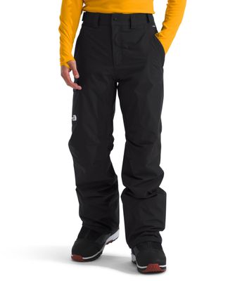 TNF Freedom Insulated Men's Snow Pants