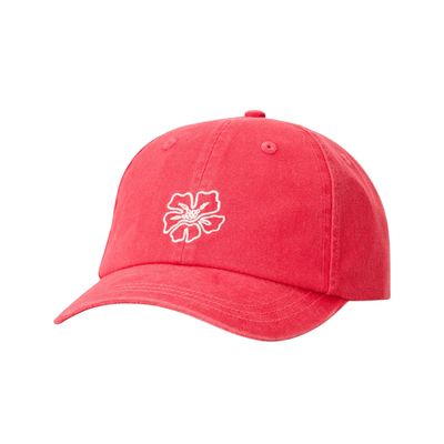 RipCurl MIXED 6 PANEL Caps